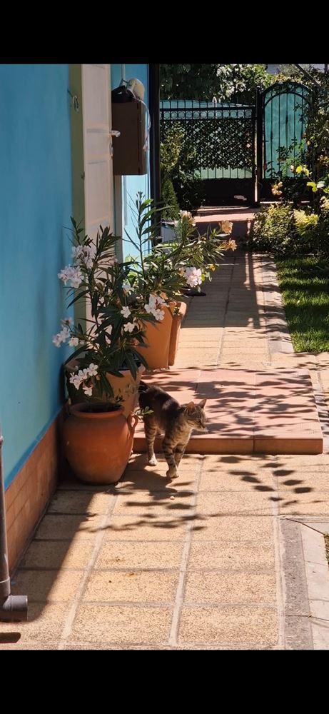 Modern detached house with sea panorama and heated pool in Chervenka, Chernomorets