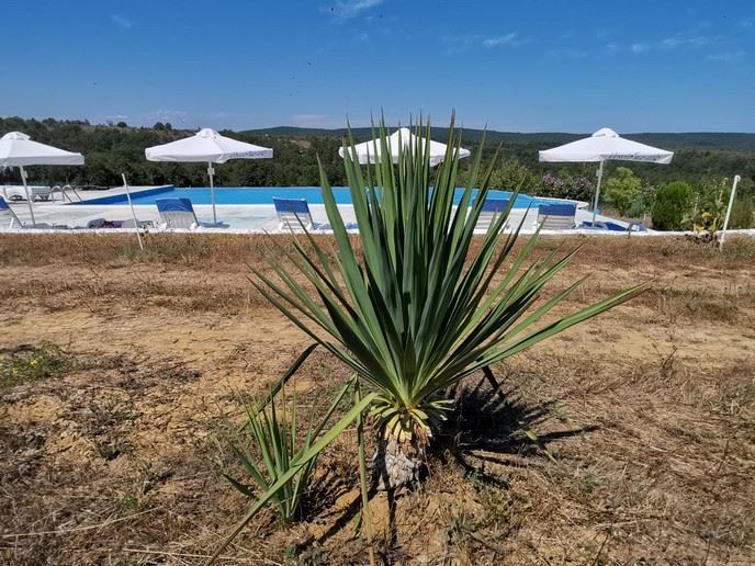 Spacious Single-Storey House with Panoramic Views in an Eco-Complex on the Balkan Mountains