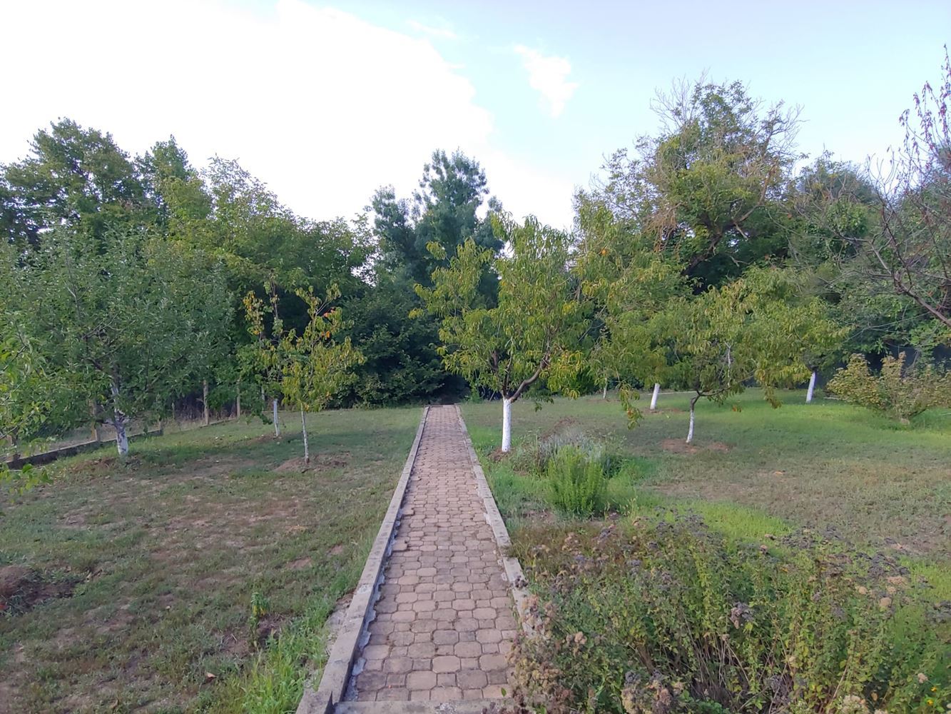 Spacious Two-Storey House with a Huge Garden, Fireplace, Sauna and Jacuzzi in Drachevo Village